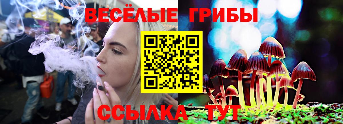 Псилоцибиновые грибы ЛСД Гусиноозёрск